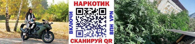 Купить закладку ГАШИШ  МАРИХУАНА  A PVP  NBOMe  Меф мяу мяу  АМФ  Ивангород